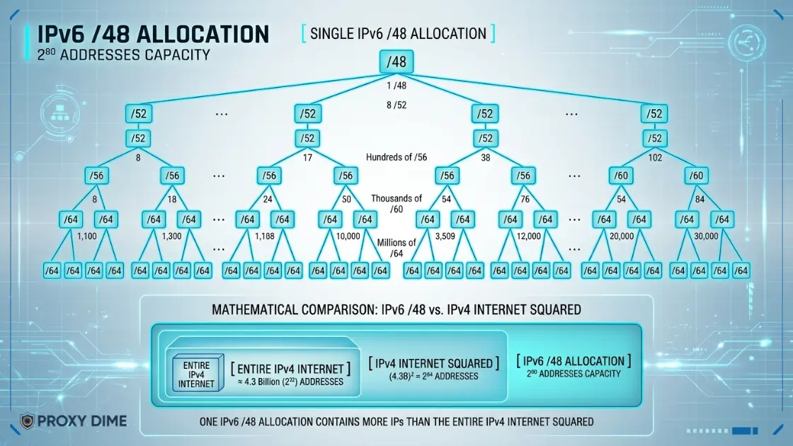 A Single IPv6 48 Allocation