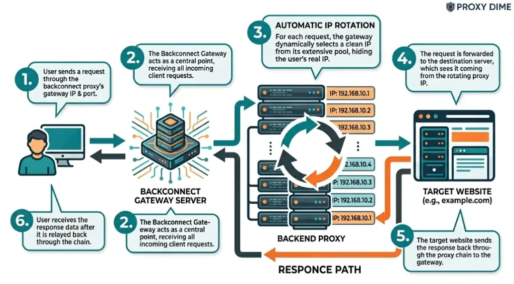 What Are Backconnect Proxy Providers
